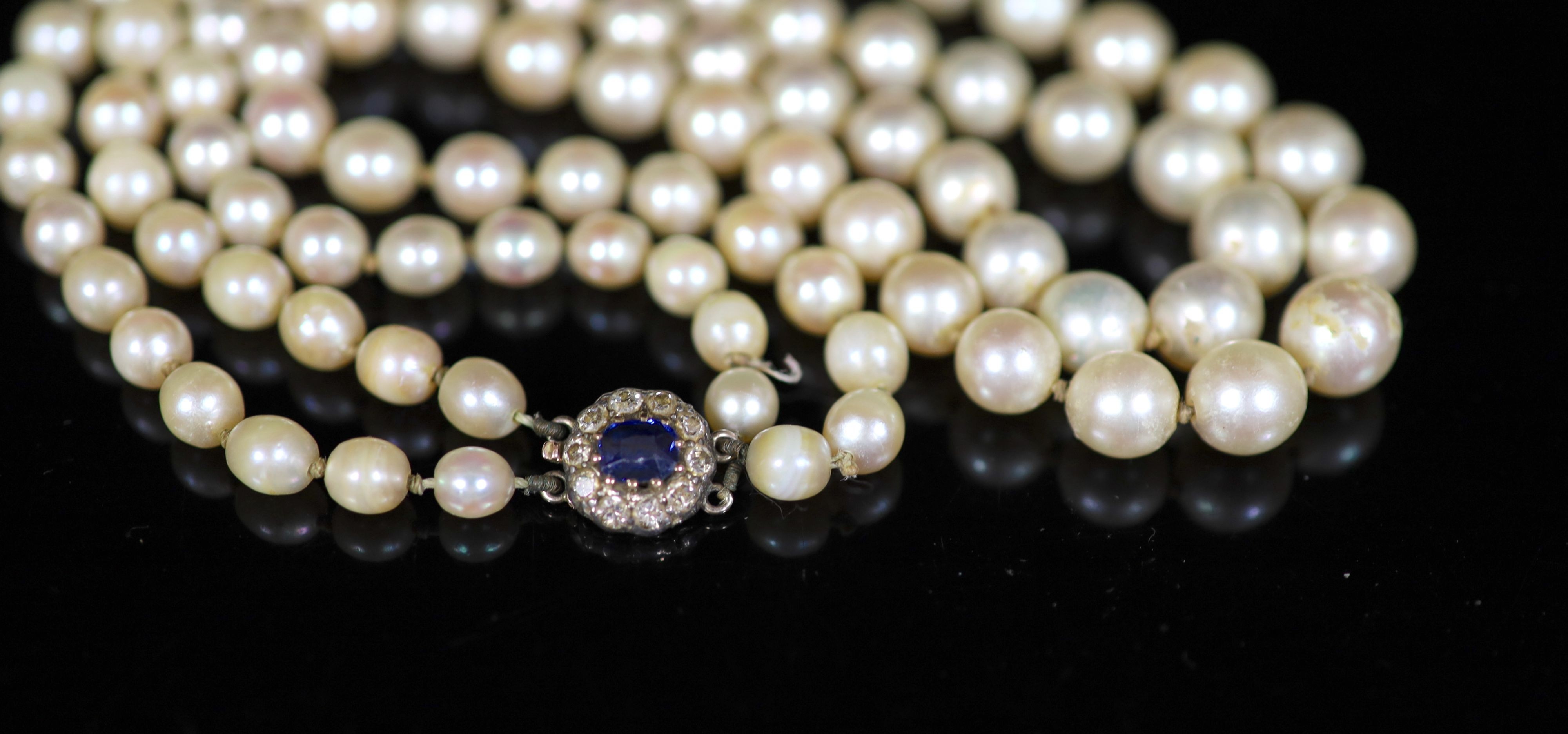 An early 20th century double strand graduated cultured pearl choker necklace, with sapphire and diamond cluster set gold clasp